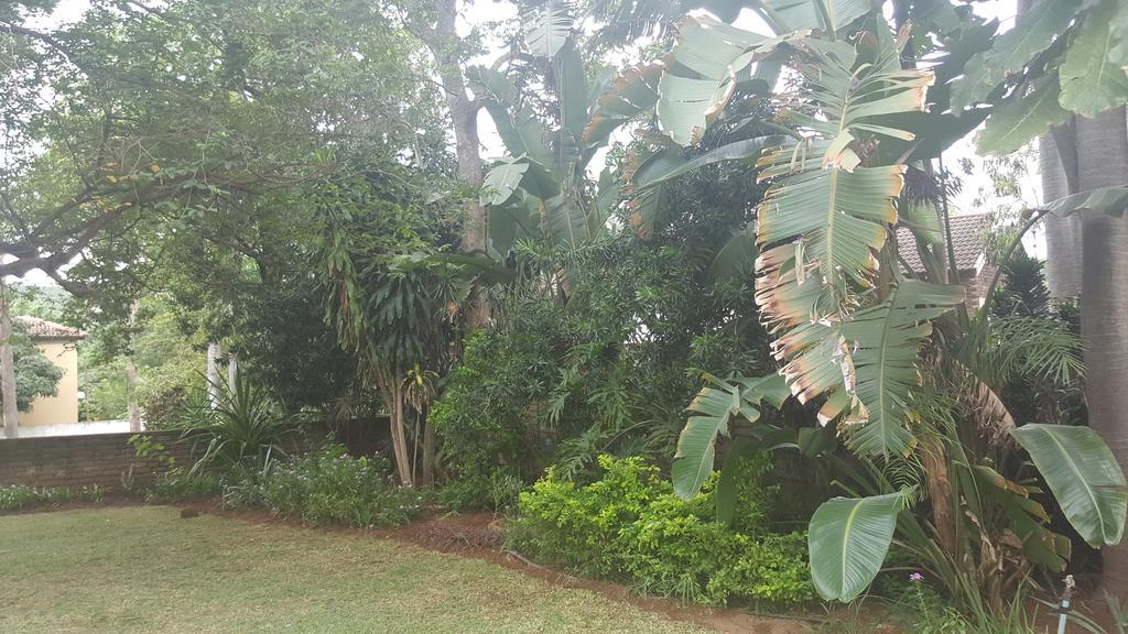 נלספרויט Spring Acres Guesthouse מראה חיצוני תמונה